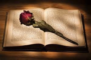poet-james-havill-music